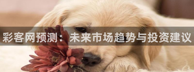 sunbet申搏体育代理：彩客网预测：未来市场趋势与投资建议