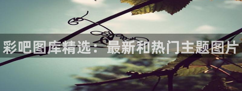 sunbet申搏体育在线注册：彩吧图库精选：最新和热门主题图片
